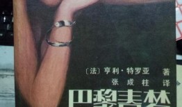 巴黎春梦在线观看,浪漫之都的梦幻之旅在线观看指南